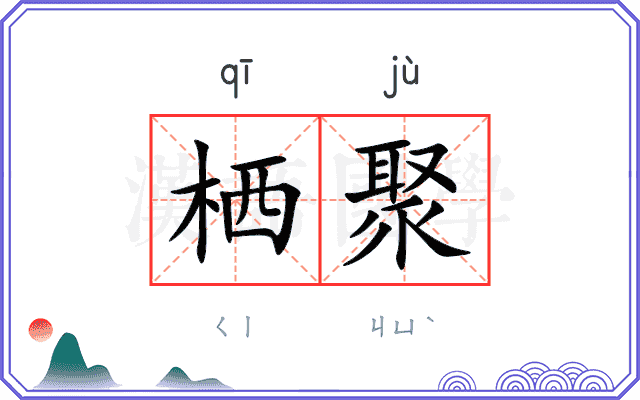 栖聚