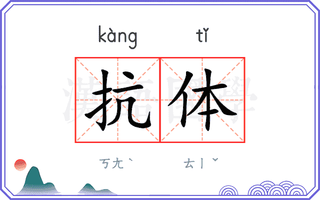抗体