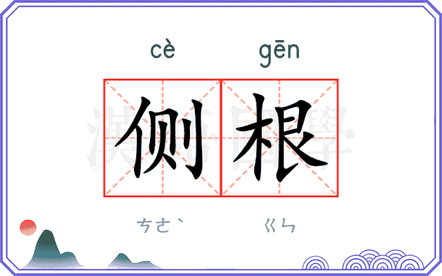 侧根
