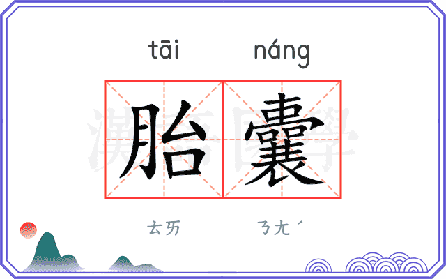 胎囊