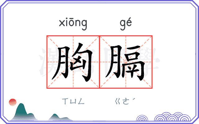 胸膈