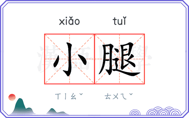 小腿
