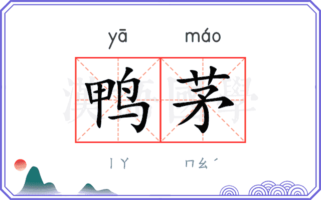 鸭茅