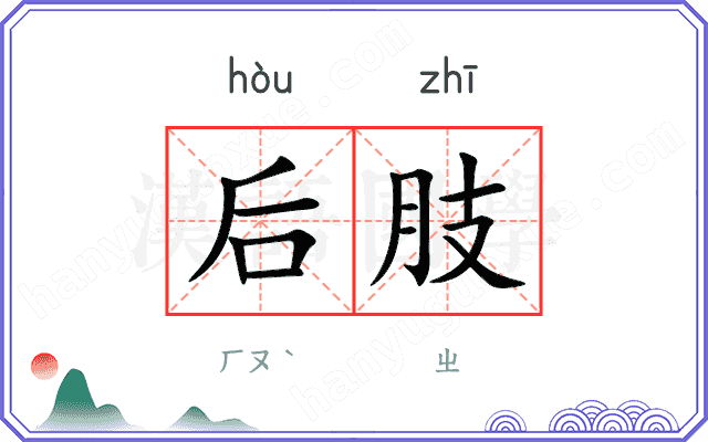 后肢