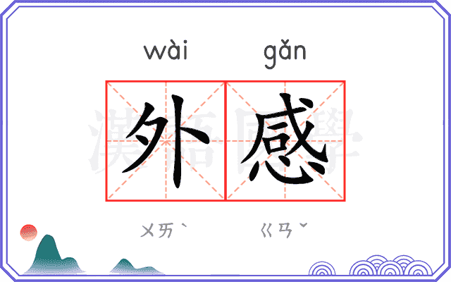 外感