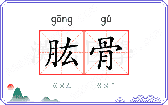 肱骨