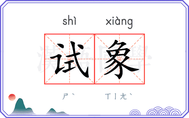 试象