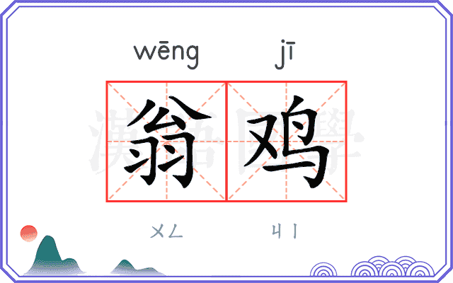翁鸡