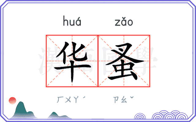 华蚤