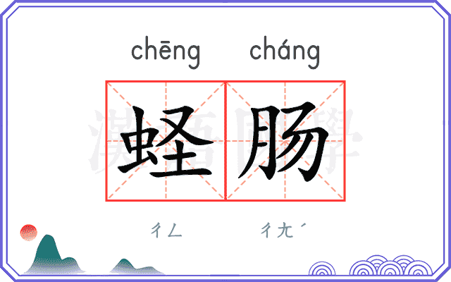蛏肠