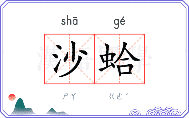 沙蛤