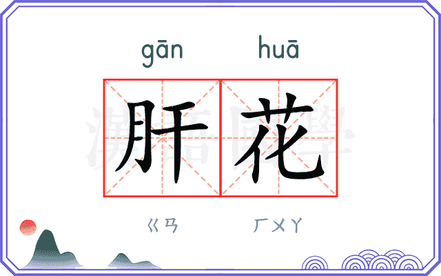 肝花