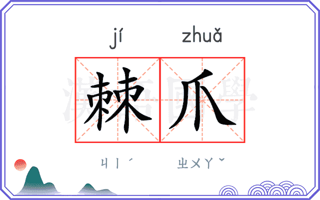 棘爪
