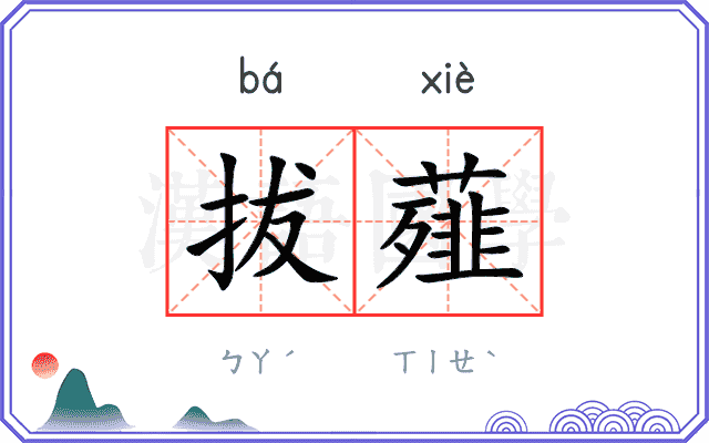 拔薤