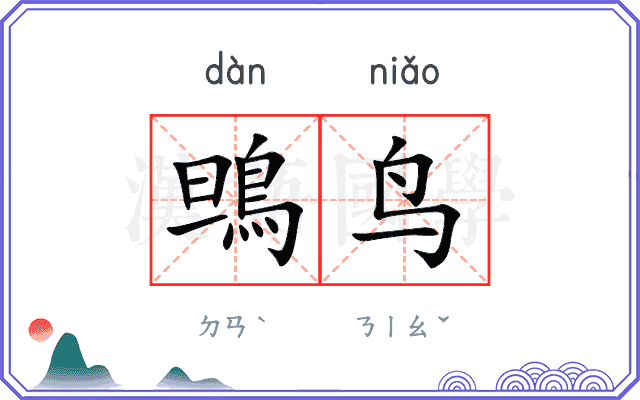 鴠鸟