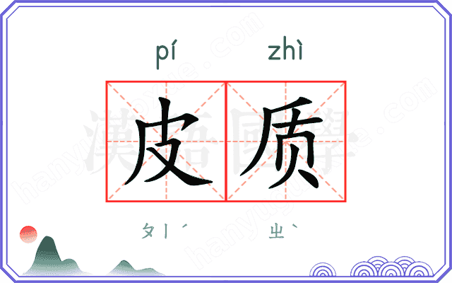 皮质
