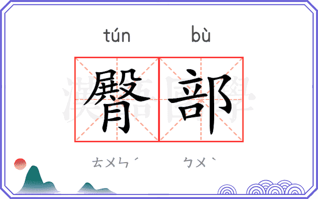 臀部