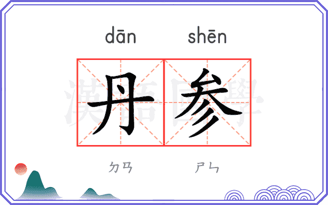 丹参