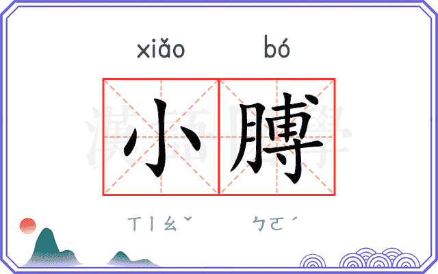 小膊