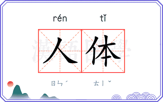 人体