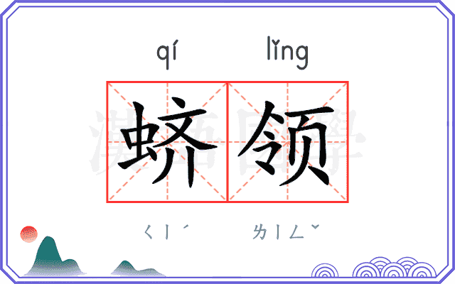 蛴领