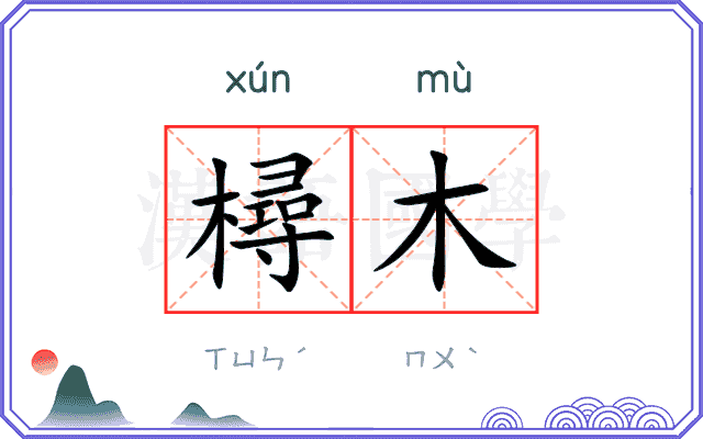 樳木