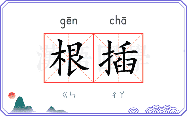 根插
