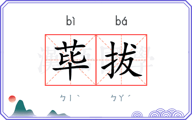 荜拔