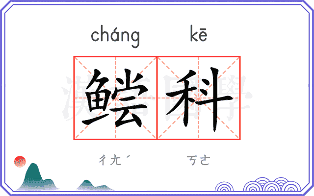 鲿科