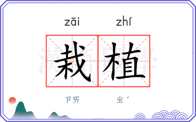 栽植