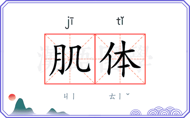 肌体