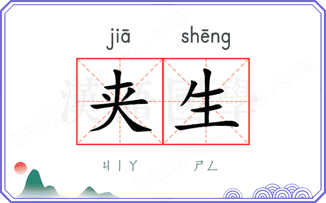 夹生