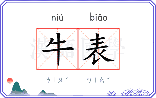 牛表