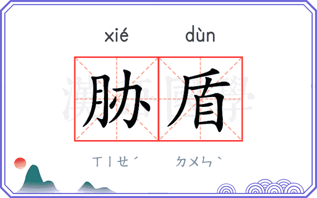 胁盾