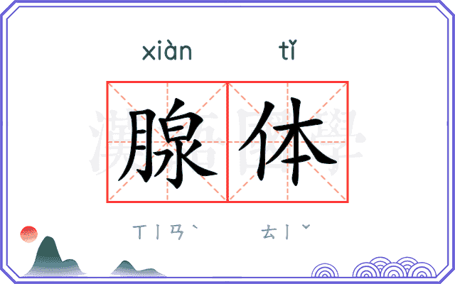 腺体