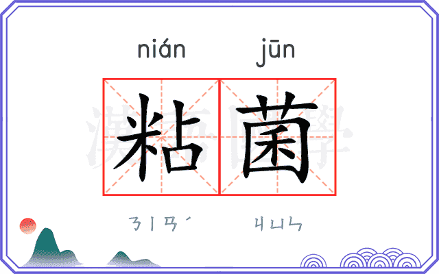 粘菌