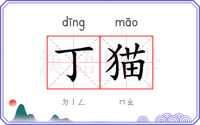 丁猫