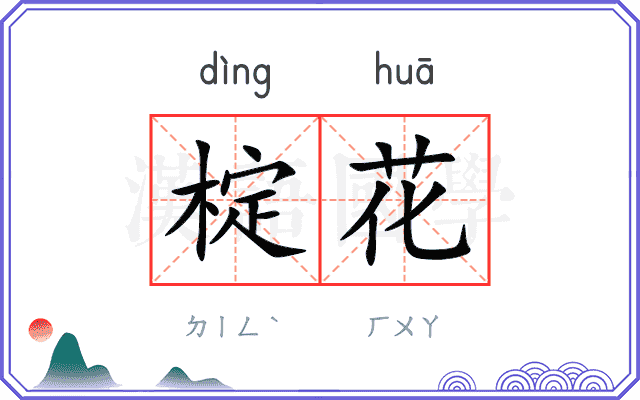 椗花