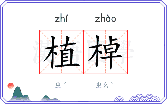 植棹