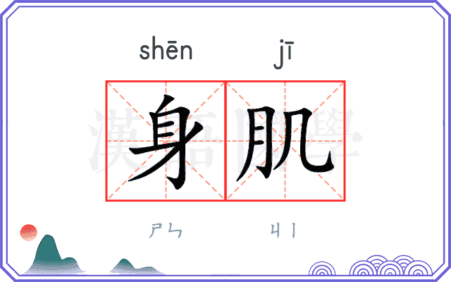 身肌