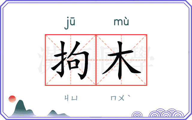 拘木