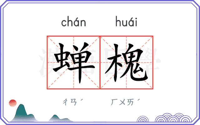 蝉槐