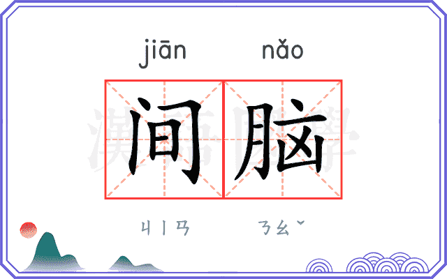 间脑