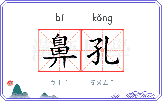 鼻孔