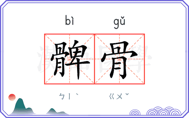 髀骨