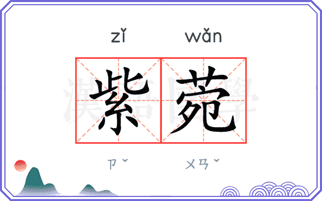 紫菀