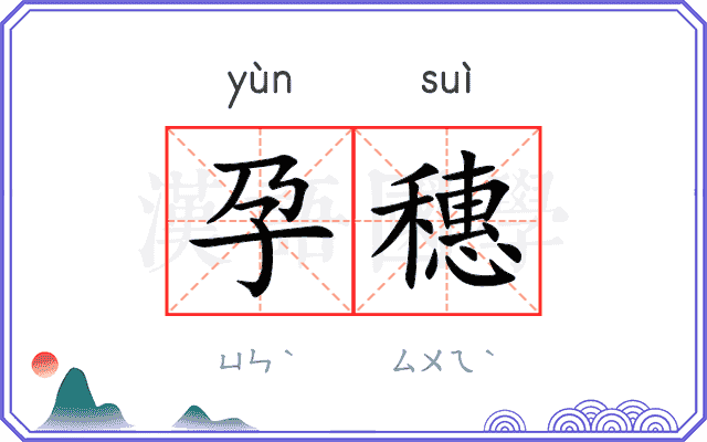 孕穗