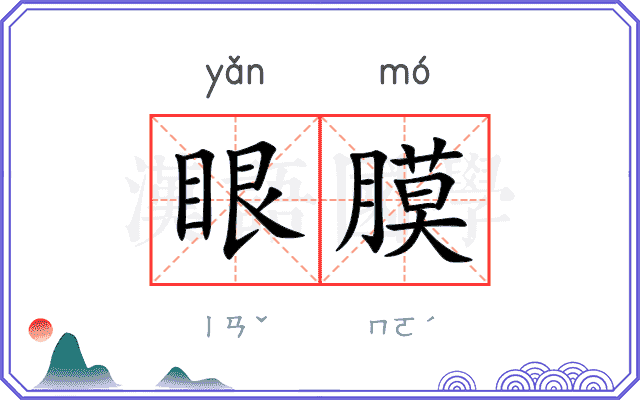 眼膜