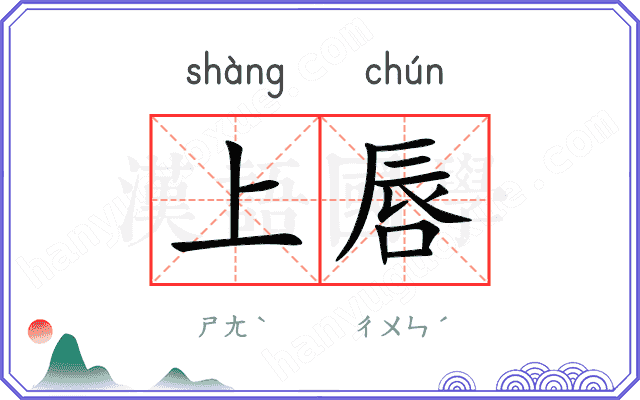 上唇