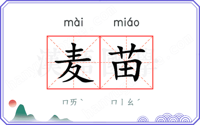 麦苗
